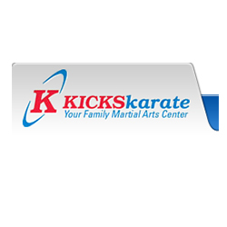 Read more about the article Kicks Karate